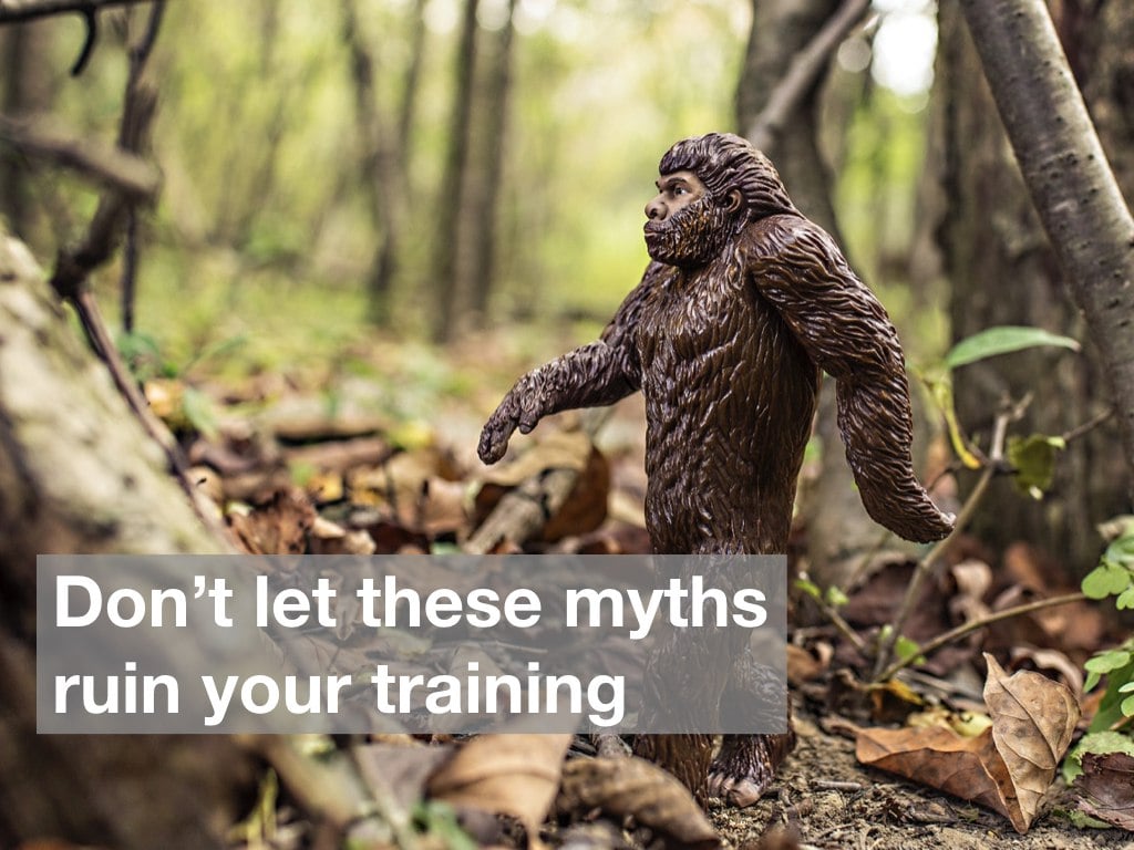 7 Myths About Training Employees and Temps